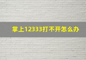 掌上12333打不开怎么办