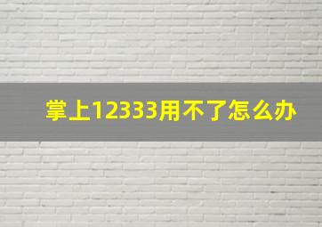 掌上12333用不了怎么办