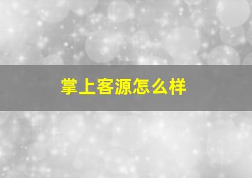 掌上客源怎么样