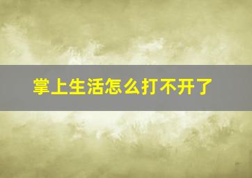 掌上生活怎么打不开了