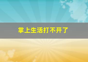 掌上生活打不开了