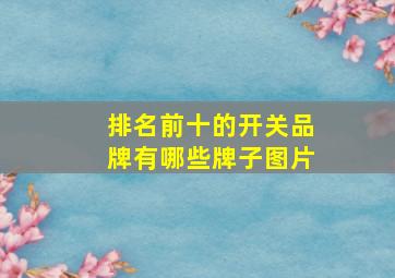 排名前十的开关品牌有哪些牌子图片