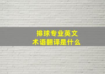 排球专业英文术语翻译是什么