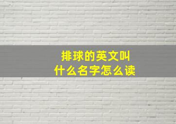 排球的英文叫什么名字怎么读