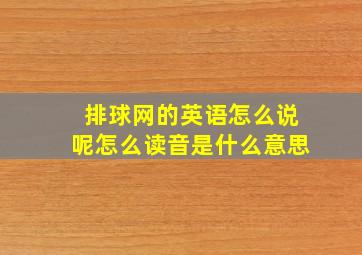 排球网的英语怎么说呢怎么读音是什么意思