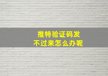 推特验证码发不过来怎么办呢