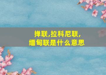 掸联,拉科尼联,缅甸联是什么意思