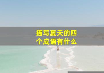 描写夏天的四个成语有什么