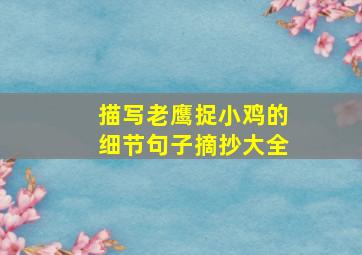 描写老鹰捉小鸡的细节句子摘抄大全