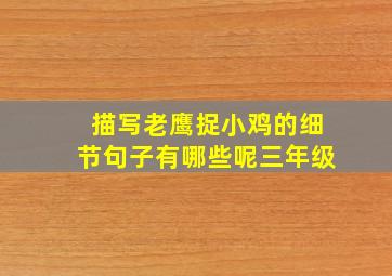 描写老鹰捉小鸡的细节句子有哪些呢三年级