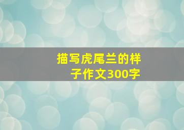 描写虎尾兰的样子作文300字