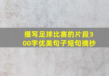 描写足球比赛的片段300字优美句子短句摘抄