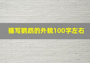 描写鹦鹉的外貌100字左右