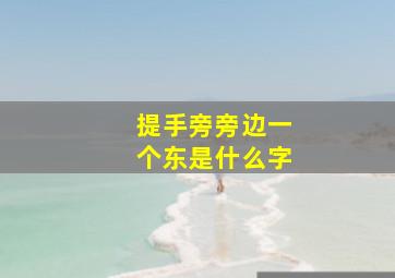 提手旁旁边一个东是什么字