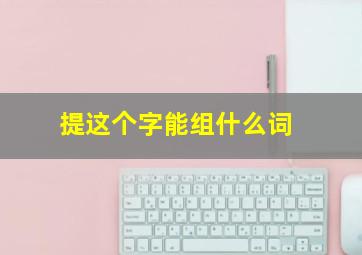 提这个字能组什么词