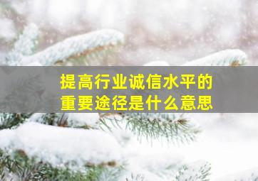 提高行业诚信水平的重要途径是什么意思