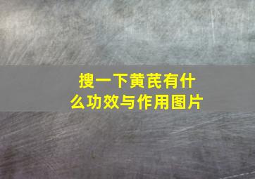 搜一下黄芪有什么功效与作用图片