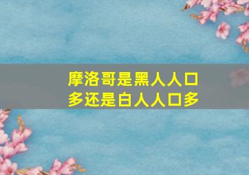 摩洛哥是黑人人口多还是白人人口多