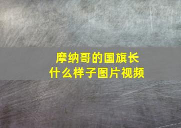 摩纳哥的国旗长什么样子图片视频