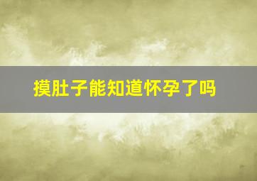 摸肚子能知道怀孕了吗