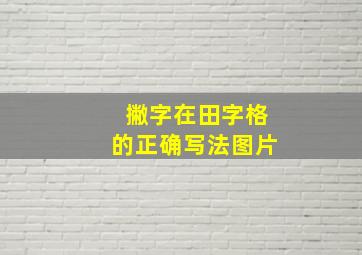 撇字在田字格的正确写法图片