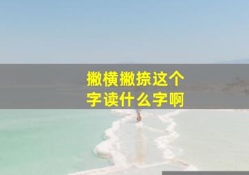 撇横撇捺这个字读什么字啊