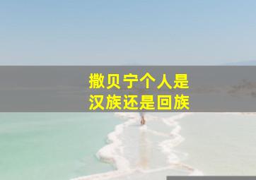 撒贝宁个人是汉族还是回族