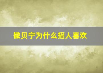 撒贝宁为什么招人喜欢