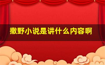 撒野小说是讲什么内容啊