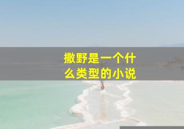 撒野是一个什么类型的小说