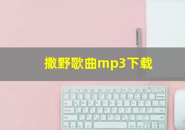 撒野歌曲mp3下载