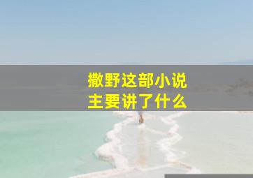 撒野这部小说主要讲了什么