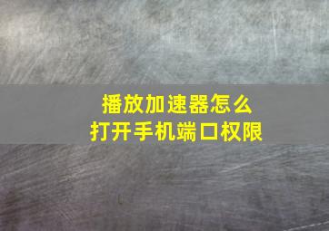 播放加速器怎么打开手机端口权限