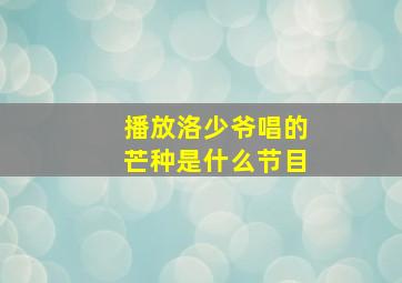 播放洛少爷唱的芒种是什么节目