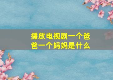 播放电视剧一个爸爸一个妈妈是什么