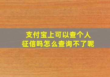 支付宝上可以查个人征信吗怎么查询不了呢