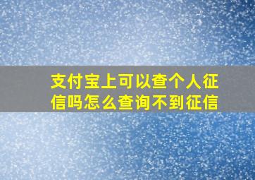 支付宝上可以查个人征信吗怎么查询不到征信