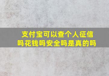 支付宝可以查个人征信吗花钱吗安全吗是真的吗