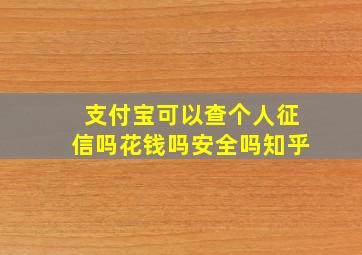 支付宝可以查个人征信吗花钱吗安全吗知乎