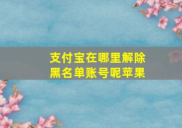 支付宝在哪里解除黑名单账号呢苹果