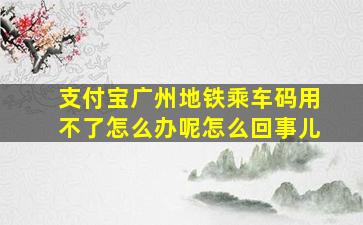 支付宝广州地铁乘车码用不了怎么办呢怎么回事儿