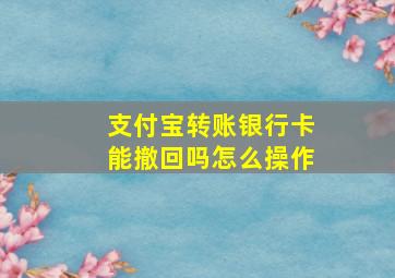 支付宝转账银行卡能撤回吗怎么操作