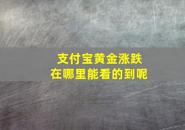 支付宝黄金涨跌在哪里能看的到呢