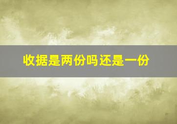 收据是两份吗还是一份