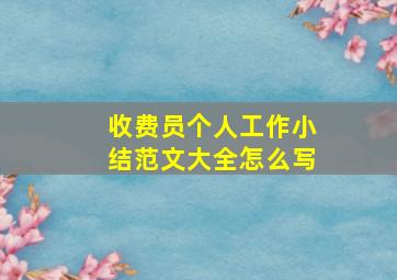 收费员个人工作小结范文大全怎么写