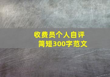 收费员个人自评简短300字范文