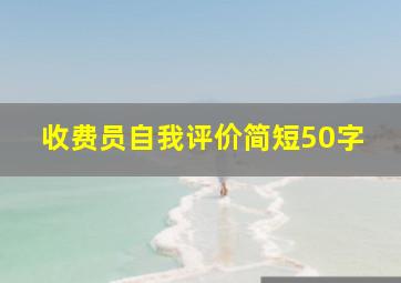 收费员自我评价简短50字