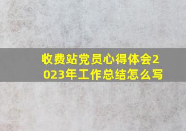 收费站党员心得体会2023年工作总结怎么写