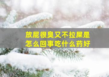 放屁很臭又不拉屎是怎么回事吃什么药好