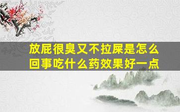 放屁很臭又不拉屎是怎么回事吃什么药效果好一点